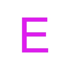 E-TYPE (鎳鉻-銅鎳)